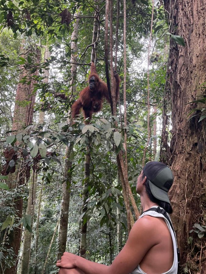 Aussie Inn Bukit Lawang Ngoại thất bức ảnh