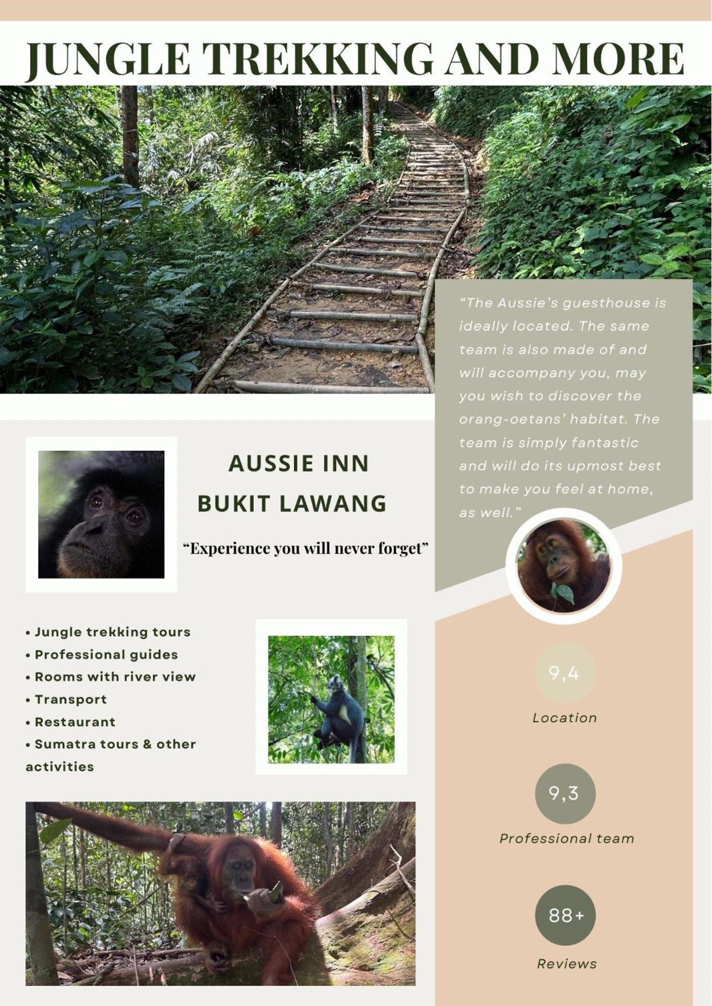 Aussie Inn Bukit Lawang Ngoại thất bức ảnh